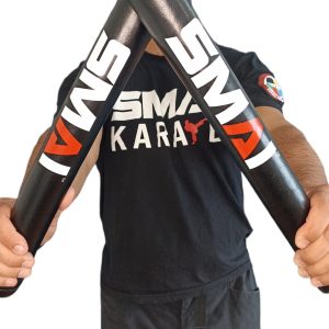 SMAI PALOS DE BOXEO