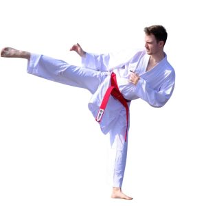 smai karategi kumite profighter
