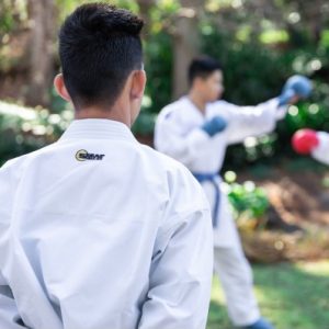 smai karategi kata gold wkf